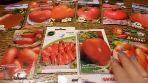 САМЫЕ УРОЖАЙНЫЕ, СКОРОСПЕЛЫЕ, выносливые и вкусные ТОМАТЫ для открытого грунта!