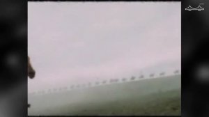 Документальный фильм   Гордость земли Тверской  Михаил Тверской