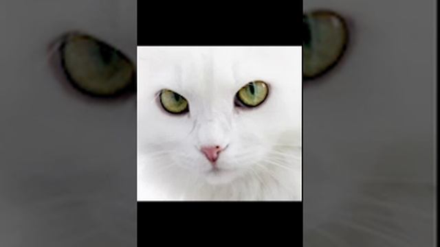 1 сек смотреть онлайн