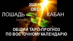 ОБЩИЙ ТАРО-ПРОГНОЗ НА 2025 ГОД ПО ВОСТОЧНОМУ КАЛЕНДАРЮ.ОВЕН (ЛОШАДЬ-КАБАН)