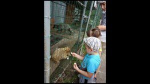 Воспитатели России 2024