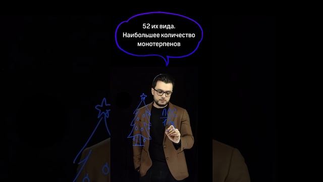 Как ель влияет на воздух в квартире? Научпоп с Эльдаром Рахимовым