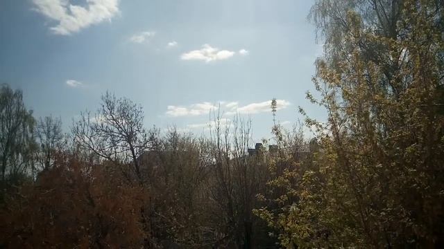 Супчик из серии Roi Thai (1 из 2) смотреть онлайн