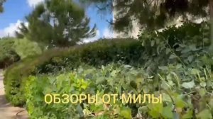 Деревенский дневник очень многодетной мамы Ольги Быковой. Обзор стрима