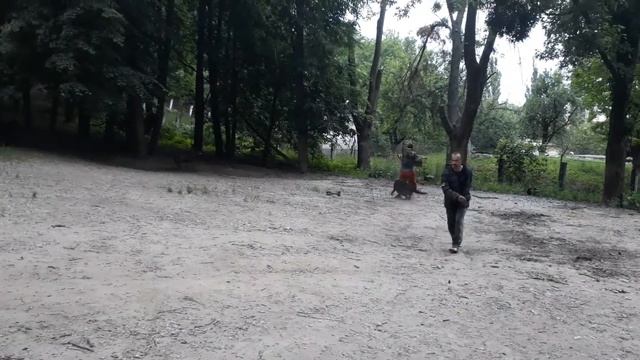 ZAVS LAST HATHY. Summer fight. Inspired by Danila Dolzhikov смотреть онлайн