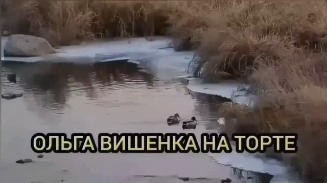 ПЬЯНЫХ НЕТ, ОДНА УРАЛОЧКА. ОПЯТЬ ВСЕХ ОБМАНУЛА. ОЛЬГА УРАЛОЧКА LIVE. ОБЗОР. смотреть онлайн