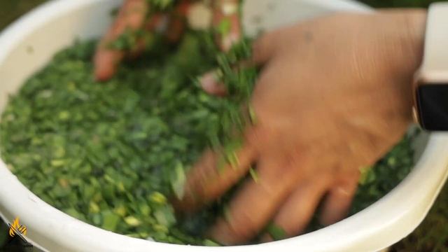 The best Afghan Food (Ashak), آشک بهترن غذای افغانی