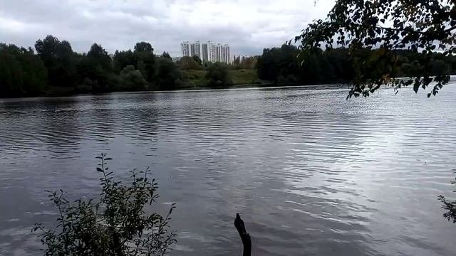 Серебряный Бор - 2021 -16/36