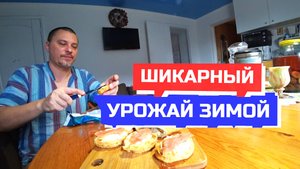 Динская. 825 Влог 6 7 янв. Огород не пололи летом, поэтому шикарный урожай в январе.