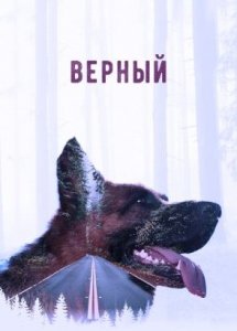 Верный (2016)