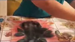 Жүннен картина жасау