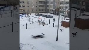 Стая собак напала на дедушку на детской площадке, дети спасли дедушку.