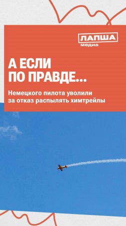 ПИЛОТА УВОЛИЛИ ЗА ОТКАЗ РАСПЫЛЯТЬ ХИМТРЕЙЛЫ? | Разбор теории #новости #факты #мифы