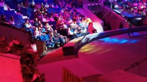 цирк-8 клоун