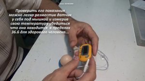 Датчик на яйцо самый доступный вариант