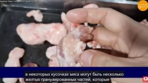 Новинки из Китая - Лапша из экскрементов и Полуфабрикаты из мяса, которые Собаки отвергают