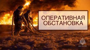 Итоги Новогодних праздничных дней (с 29 декабря 2024 года по 8 января 2025 года)