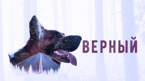 Верный (2016)