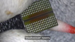 Ремонт трех видеокарт с доставкой - PALIT GTX 1060 не включается, код 43, нет изображения