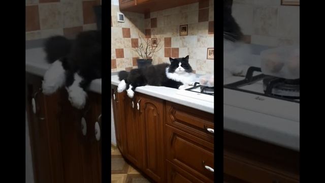 Царь,просто Царь смотреть онлайн