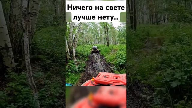 Нам любые дороги дороги... #квадропокатушки #trending #offroad