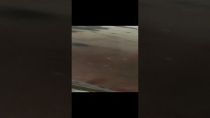 обзор первого проектного автомобиля Опель омега б 1996 год