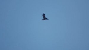 КАК ПРАЗДНУЮТ ПАСХУ В ДЕРЕВНЕ | ЕДЕМ К БАБУШКЕ НА ДЕНЬ РОЖДЕНИЯ | ДОМАШНИЕ КУЛИЧИ И ШАНЬГИ ИЗ ПЕЧИ