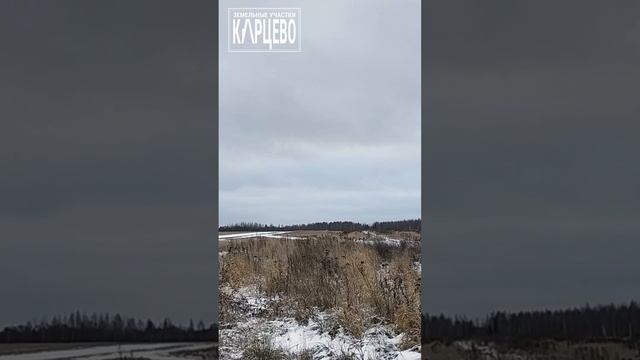 Дорога в  Карцево, 12 декабря 2024 год.