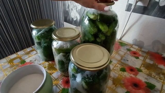 Маринованные огурцы по способу 1, 2, 3 или 3, 6, 9