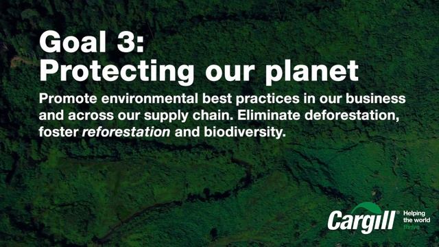 Cargill: 5 goals for sustainable cocoa