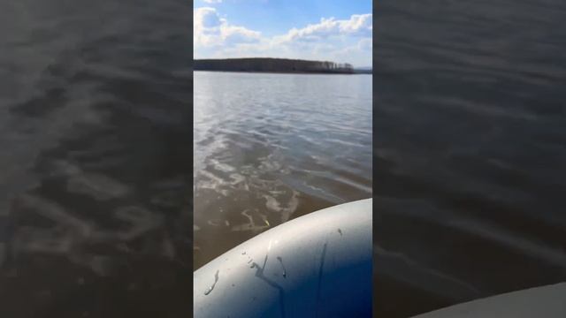 Go fish russia nature asmr природа рыбалка beautiful fishing 2024 youtubeshorts россия