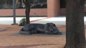 Прогулка по Форт Уорту (Fort Worth walks)