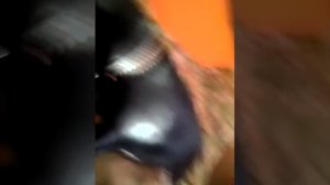 Чаки. Часть 1.