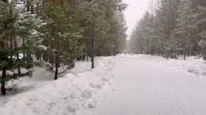 Из зимы с любовью. Часть 4