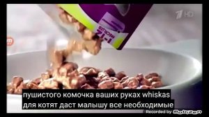 whiskas реклама 2015