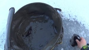 Не делайте так, как я. Как не надо ходить на рыбалку. Опасный лёд. Ловля ротана с камерой мурена.