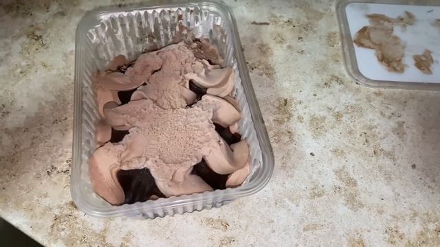 В гости к сестре 😘/ Приготовили Смузи 🧋/ прогулка❤️ смотреть онлайн