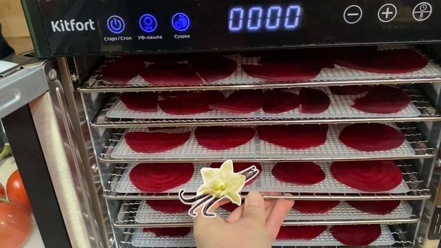 Заработать может каждый! Сушим и продаем фрукты и овощи смотреть онлайн