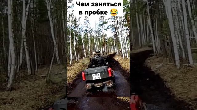 Пробка на болоте? настроение весна