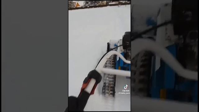 Прокладка трассы для собак с помощью гусениц Крутец!