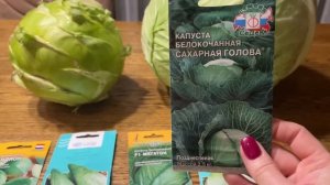 Отличный выбор! Все эти СОРТА КАПУСТЫ ПРОВЕРЕНЫ буду выращивать в 2023г