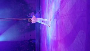 цирк-7 воздушные гимнасты