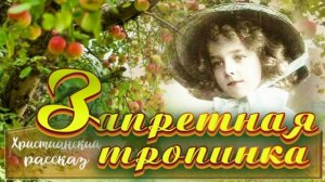 📗 "Запретная тропинка" ~ РАССКАЗ Христианский для ДЕТЕЙ 👧☀️ АУДИОРАССКАЗ