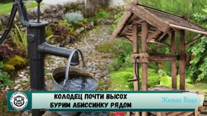 Абиссинская скважина Ярославль 💧// Прусово