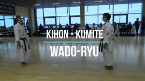 Вадо каратэ (Кихон кумитэ)