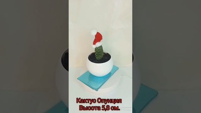 кактус Опунция.код 9. смотреть онлайн