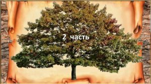 РОД (5)-2часть