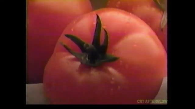 Ragu Fresh Italian 1990 Commercial | Which Ragu Tonight? смотреть онлайн