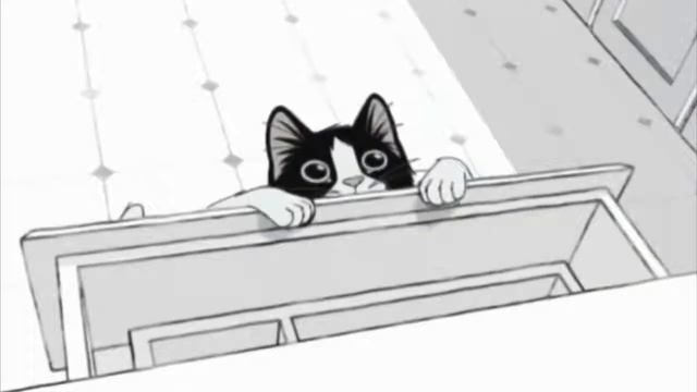 Felix Sensations Commercial (Dutch) смотреть онлайн