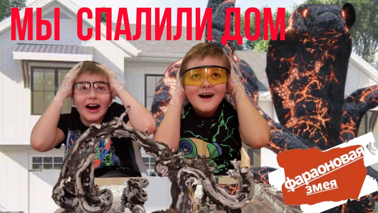 СПАЛИЛИ ДОМ/Эксперимент-Фараонова змея/Смотреть Всем!